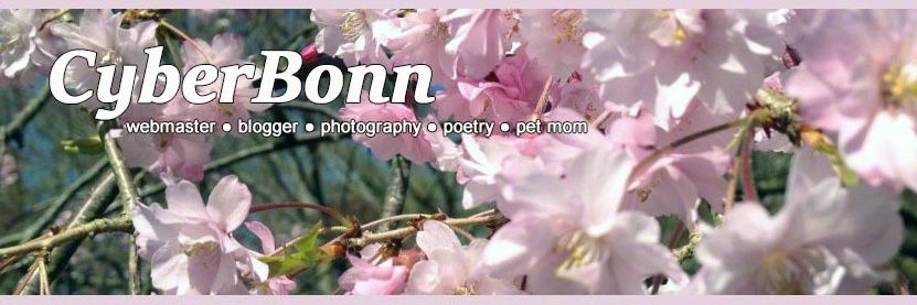 cyberbonn's profile banner image