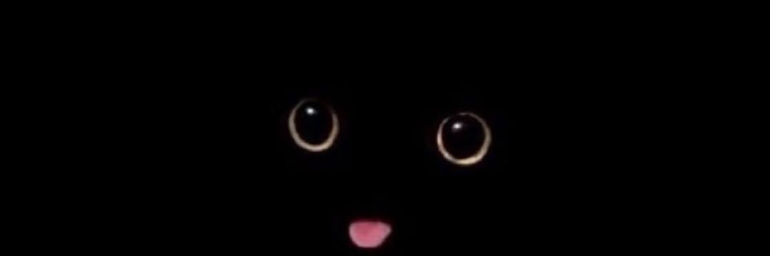 chzz2z's profile banner image