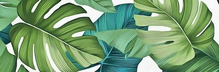 luuisagomes's profile banner image