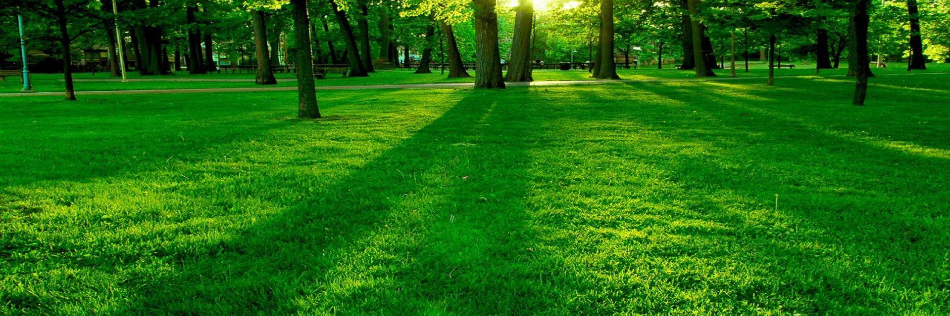 Maurice van Dijk banner