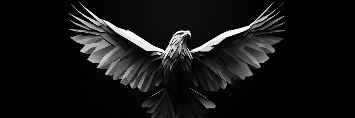 tarekNaemo's profile banner image