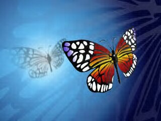 W. G. Cavanagh banner