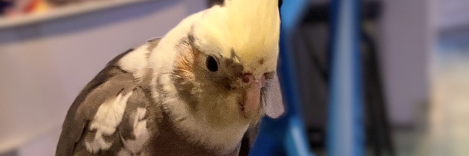 amoggy's profile banner image