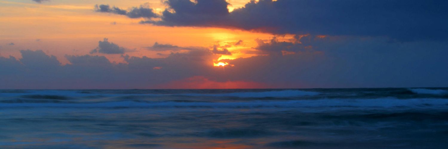 LauraHiggins's profile banner image