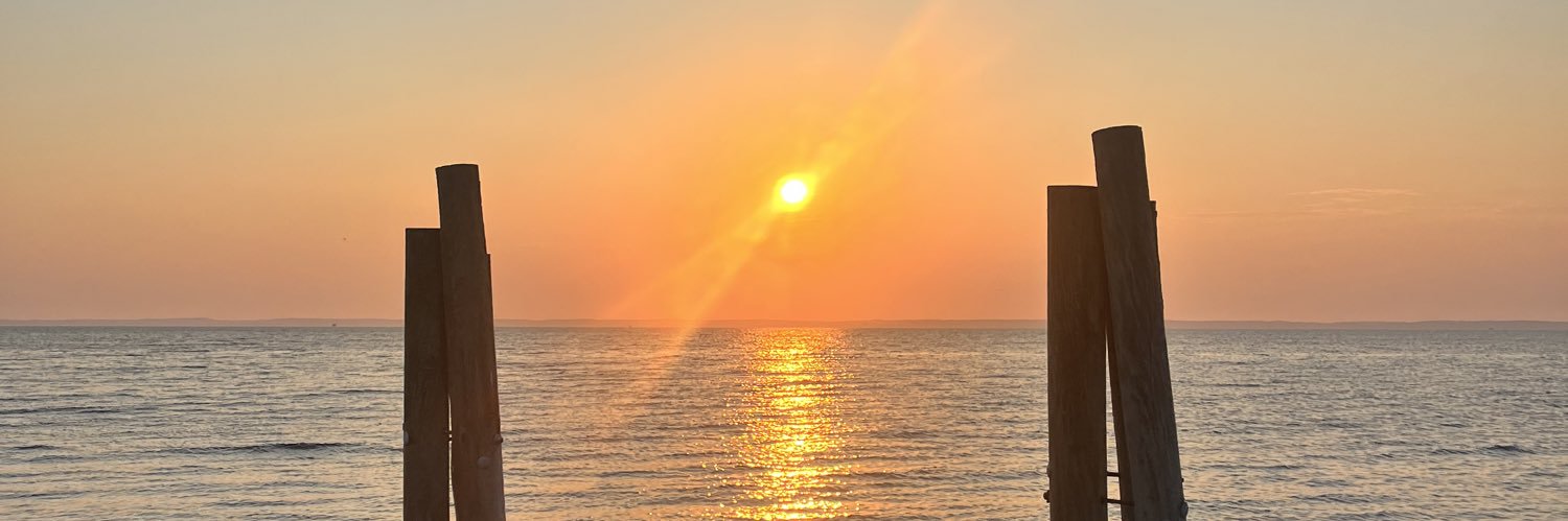 ttyltrin's profile banner image