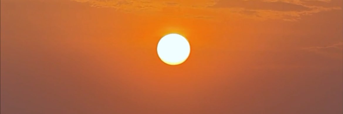 elterrego's profile banner image