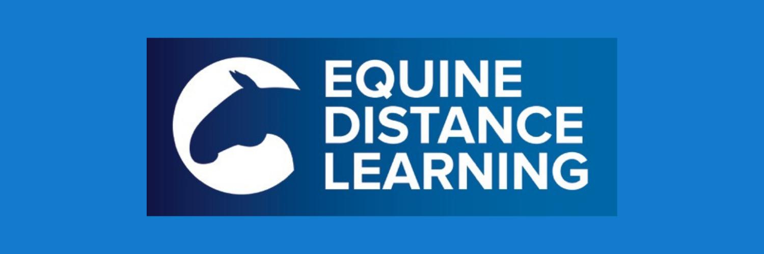 equinedl's profile banner image