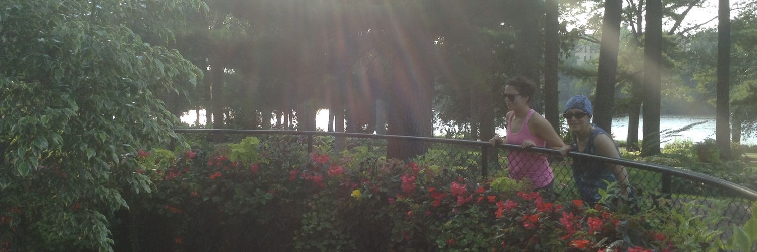 MeganLovitz's profile banner image