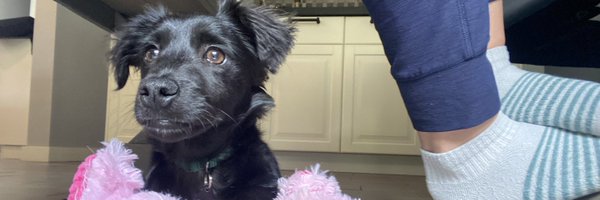 barv_dl Profile Banner