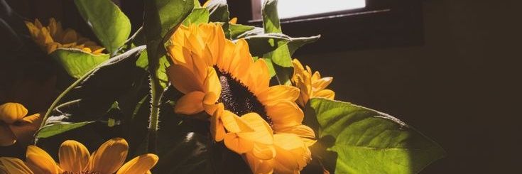 Friday_PP10's profile banner image