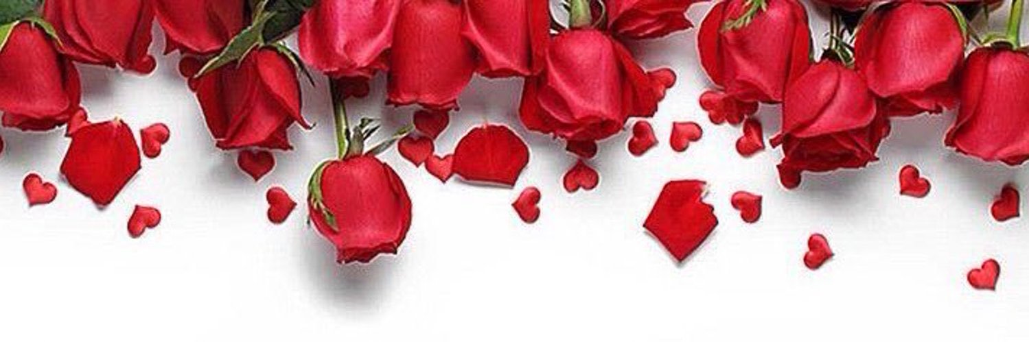 ضي . 💅🏻 banner