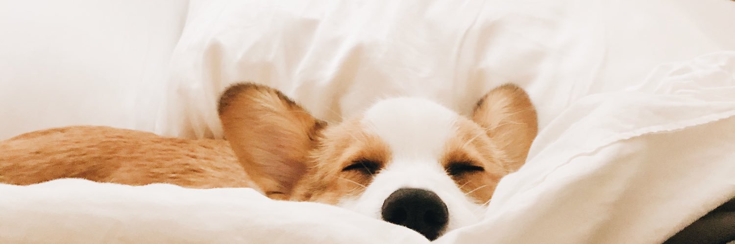 maddygphelps's profile banner image