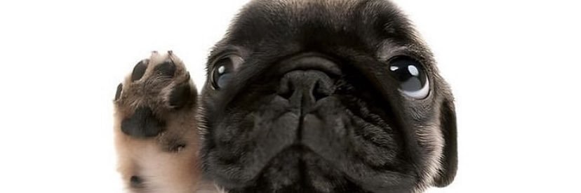 Grandolano Vilano ☀️🇹🇷🇧🇷 banner