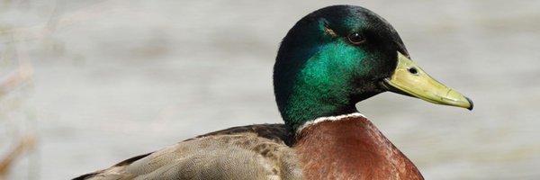 AshfaqZar29082 Profile Banner