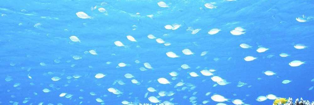 sky_kenty's profile banner image