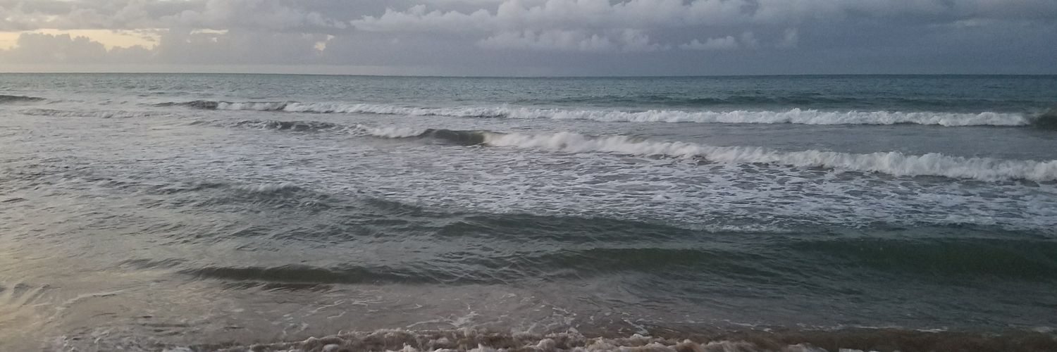 tcheriem's profile banner image