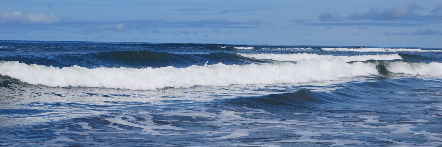 WASeaGrant's profile banner image
