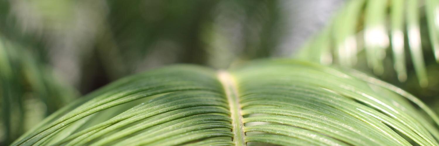 PrataCatalin's profile banner image