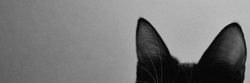 wulandcr's profile banner image
