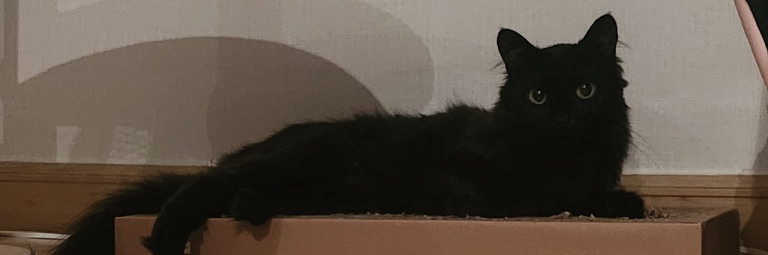 제로 콜라🥤 banner