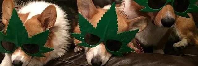 jonranft's profile banner image