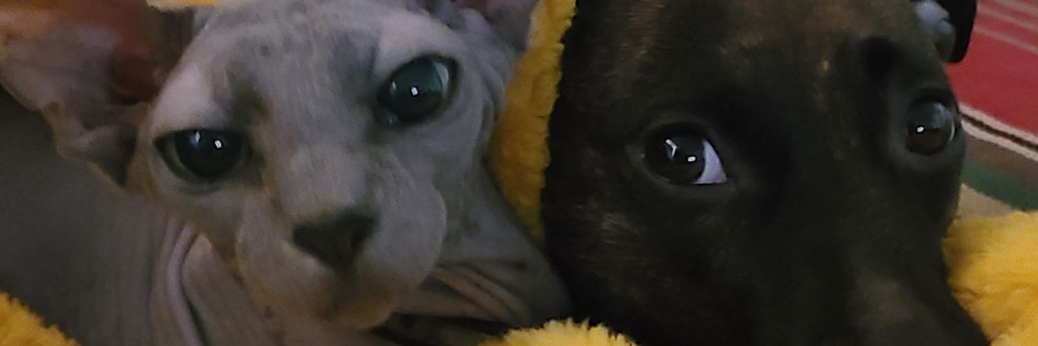 Eric Gold aka Suliore banner