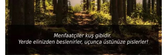 ahmetcdee's profile banner image
