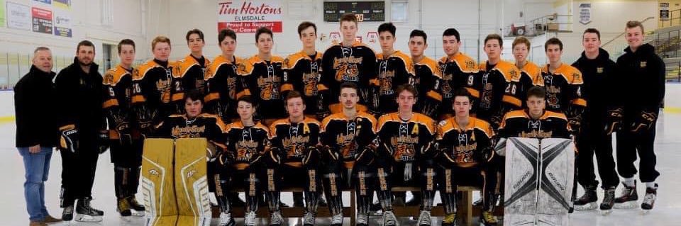 HERH Tigers Hockey banner