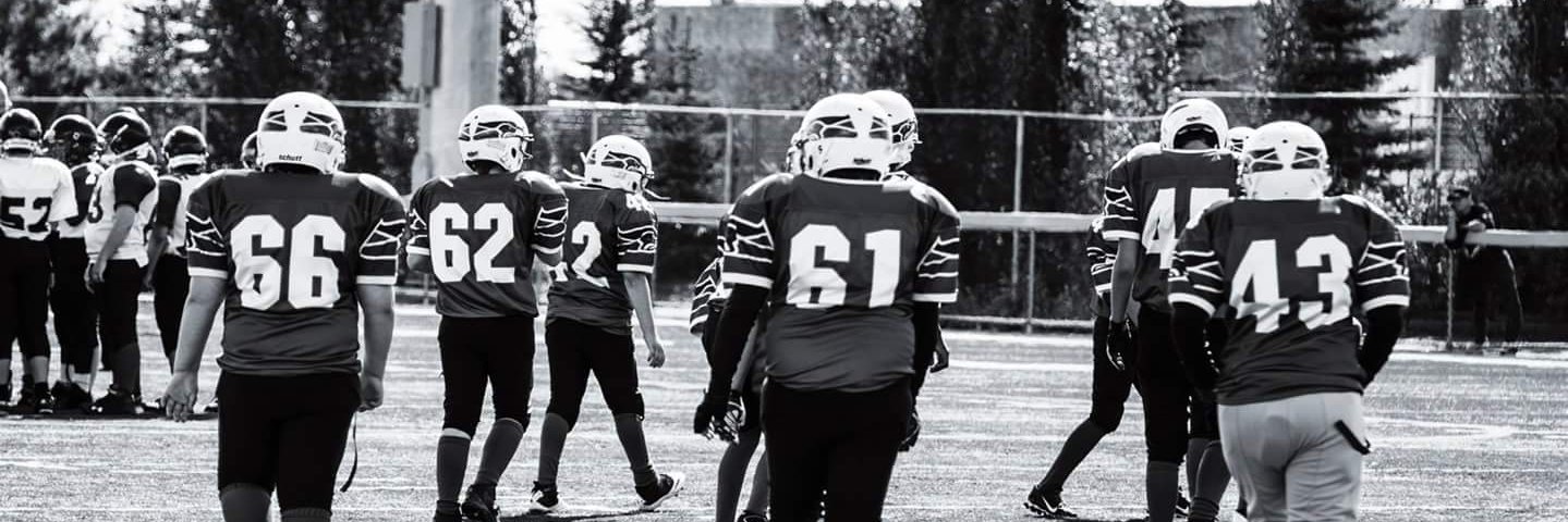 NEMFASeahawks's profile banner image