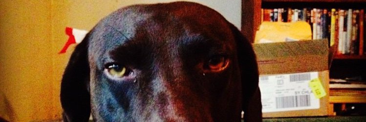 Russellkalynna's profile banner image