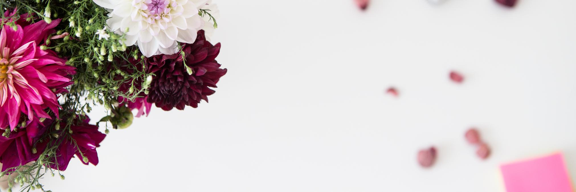 PinkPot7's profile banner image
