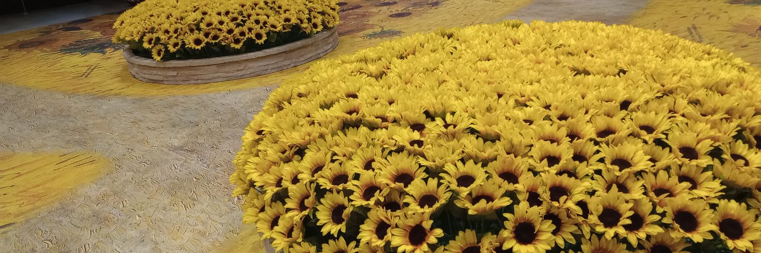 ginzou_'s profile banner image
