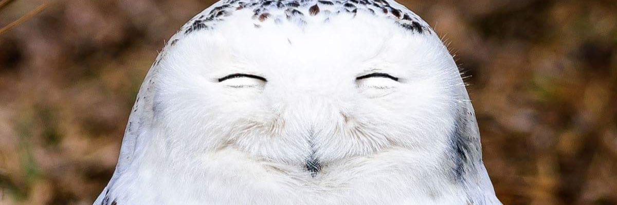 AronL's profile banner image