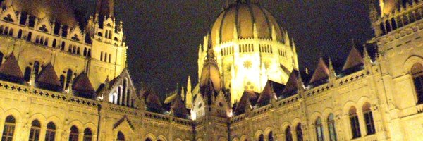 ap_pi_burger Profile Banner