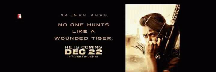 TigersRace's profile banner image