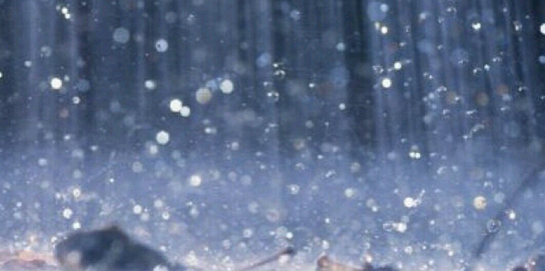 amsoera's profile banner image