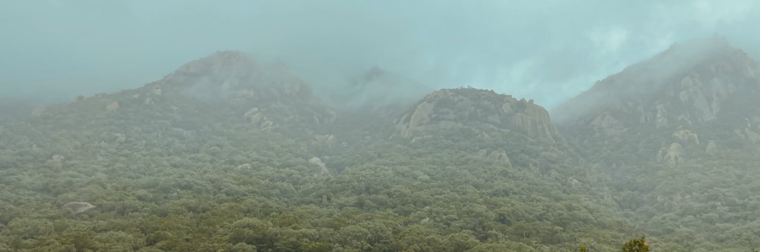 Switcharry's profile banner image