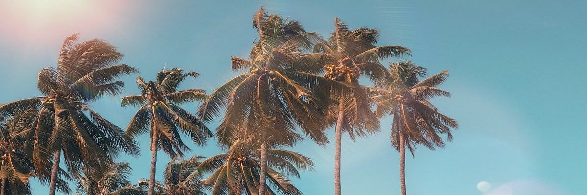 Yvandj's profile banner image