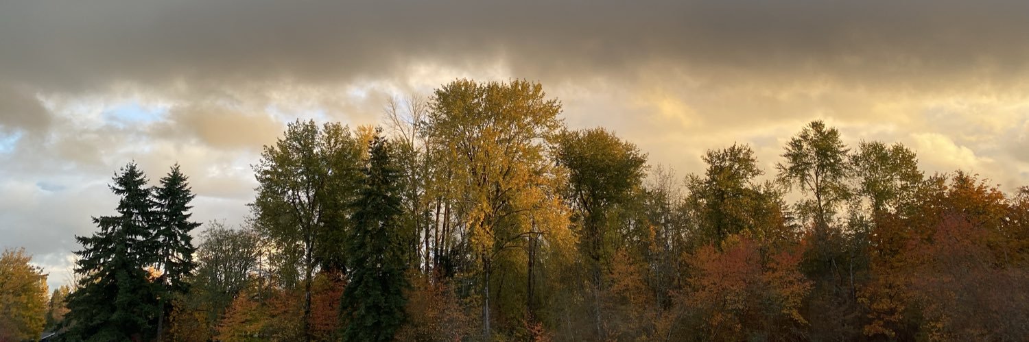 AdamStar777's profile banner image