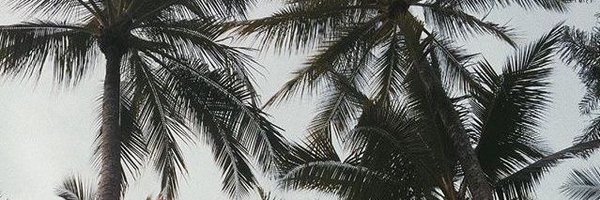 labiosdetinta_ Profile Banner