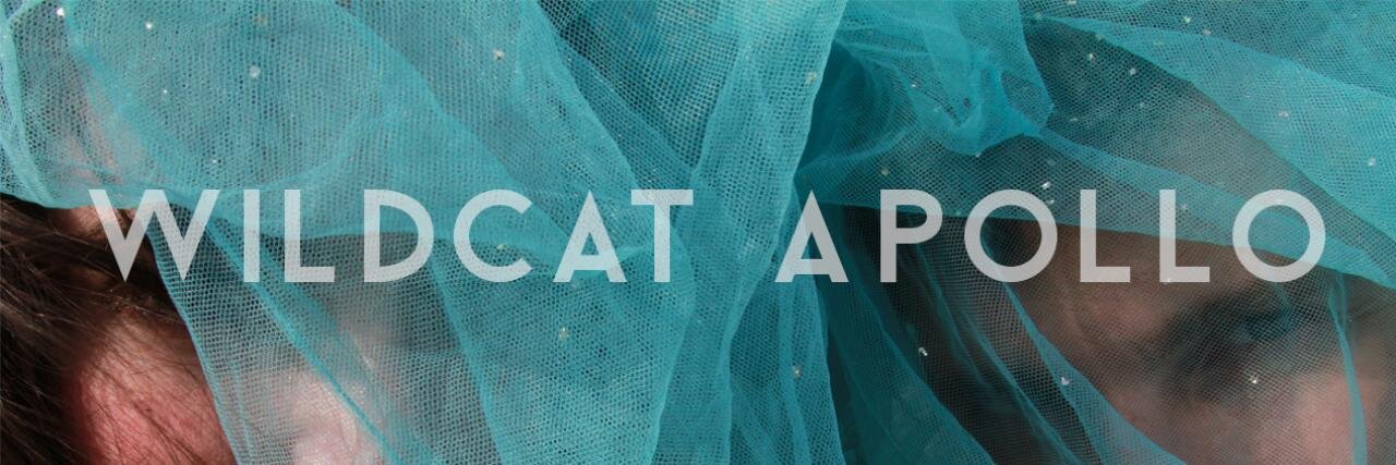 Wildcat Apollo banner