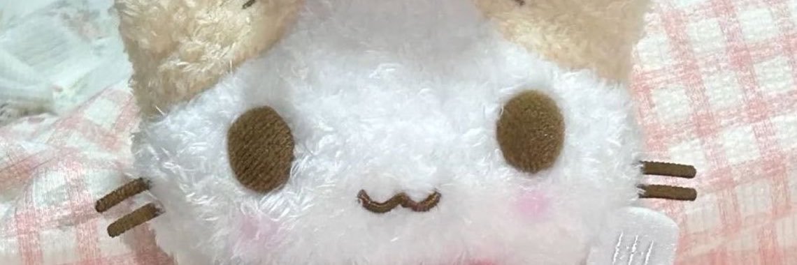 nshrsun's profile banner image