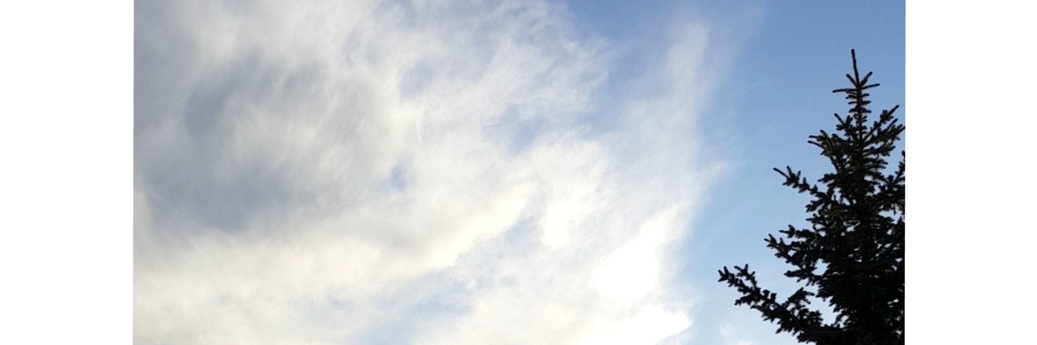 Cel3515's profile banner image