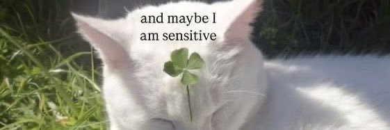 lucille/lucy ☘︎ banner