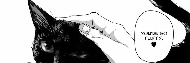 Sins banner