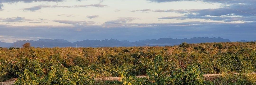 paul, interrupted banner