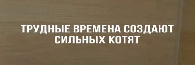 Домовенок banner