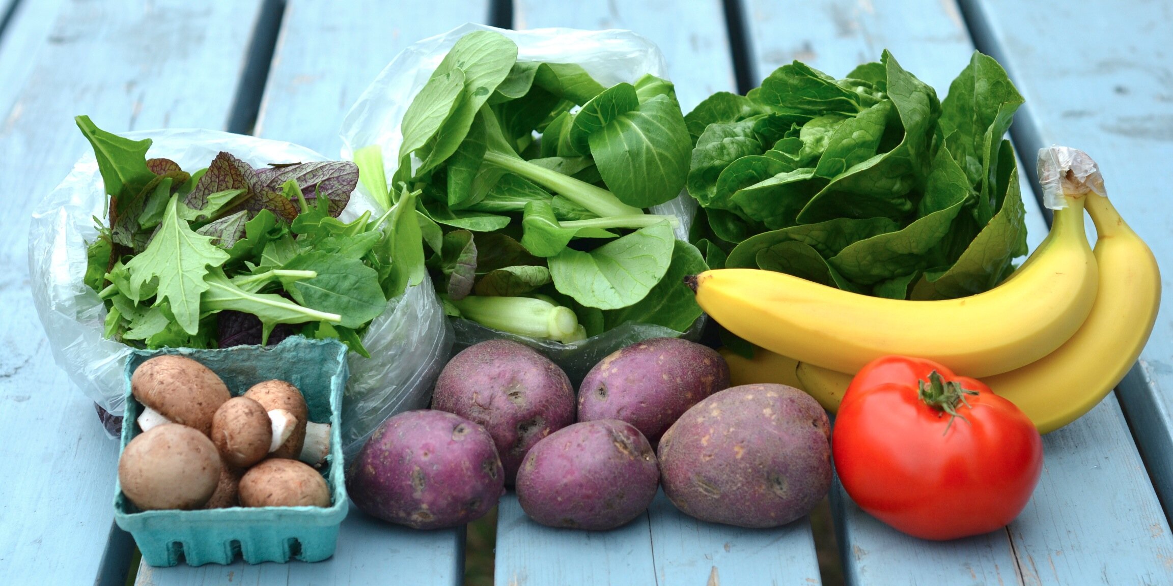 greenfeast's profile banner image