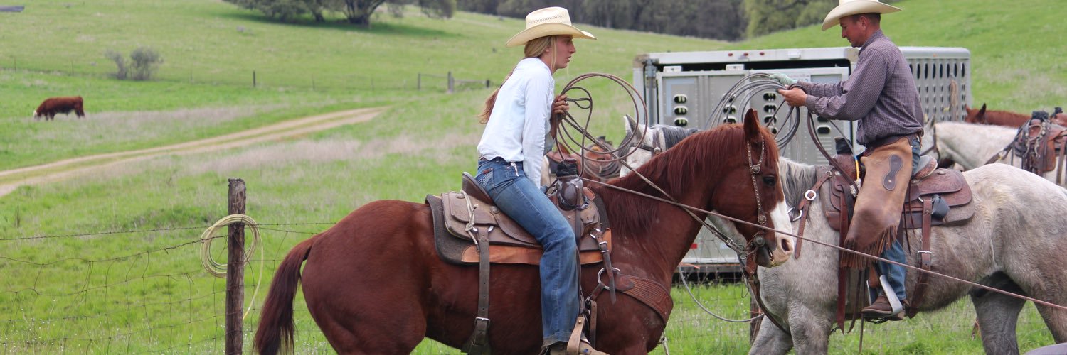 macymhill's profile banner image