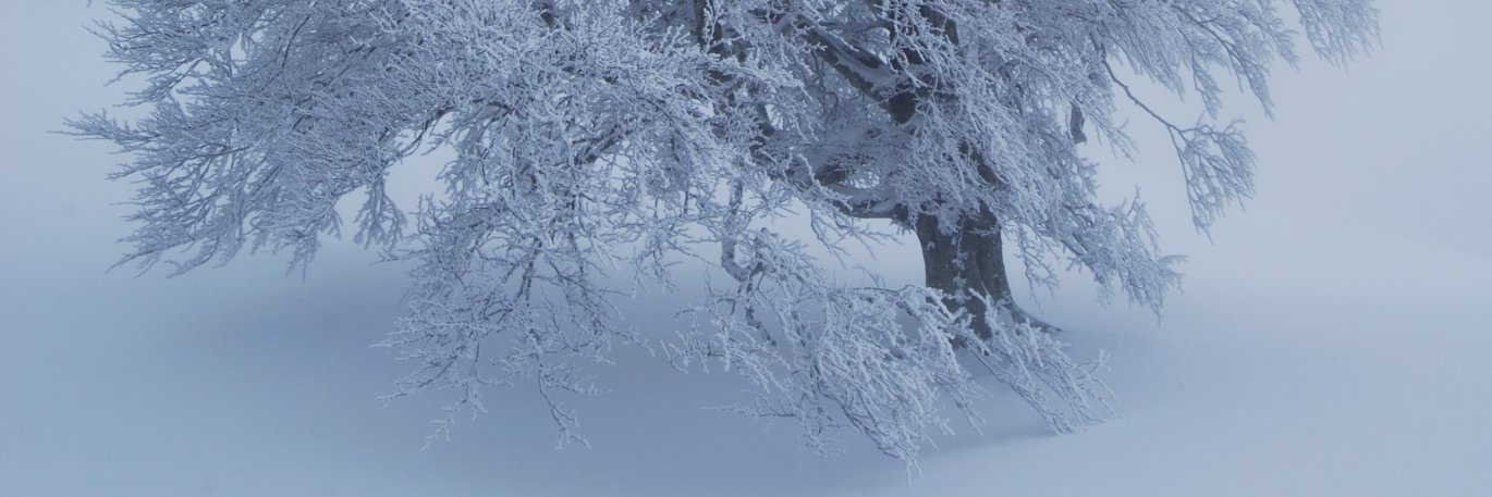 txabi44's profile banner image